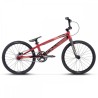 CHASE ELEMENT EXPERT 2025 RED