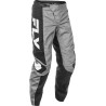 Pantalon FLY RACING F-16 - gris/noir/blanc