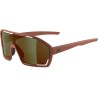 Lunettes ALPINA BONFIRE Q-LITE